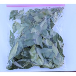 Curry Leaves 1oz