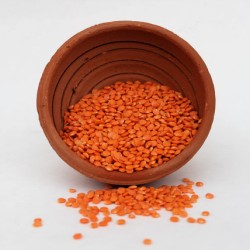 Red Lentil 4lb