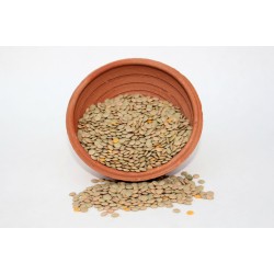 Green Lentil 2lbs