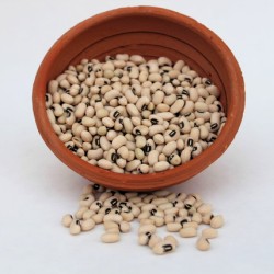 Black Eye Pea (Kaupi) 2lbs