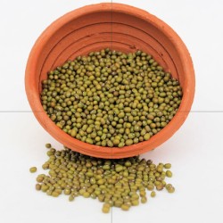 Mung Beans 2lb
