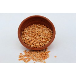 Yellow Split (Kadala Parippu) 2lbs