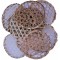Cane String hopper trays 10 -Count 